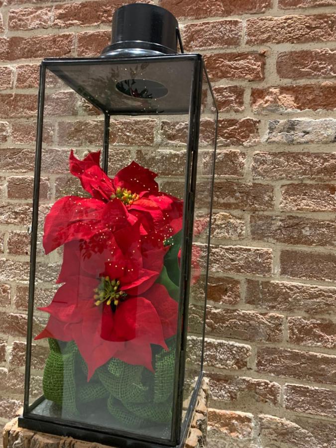 Al Pozzo Di Luce Venezia Suites Dış mekan fotoğraf